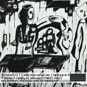 Zimmer011 - neutronenschablett LP by egohygiene